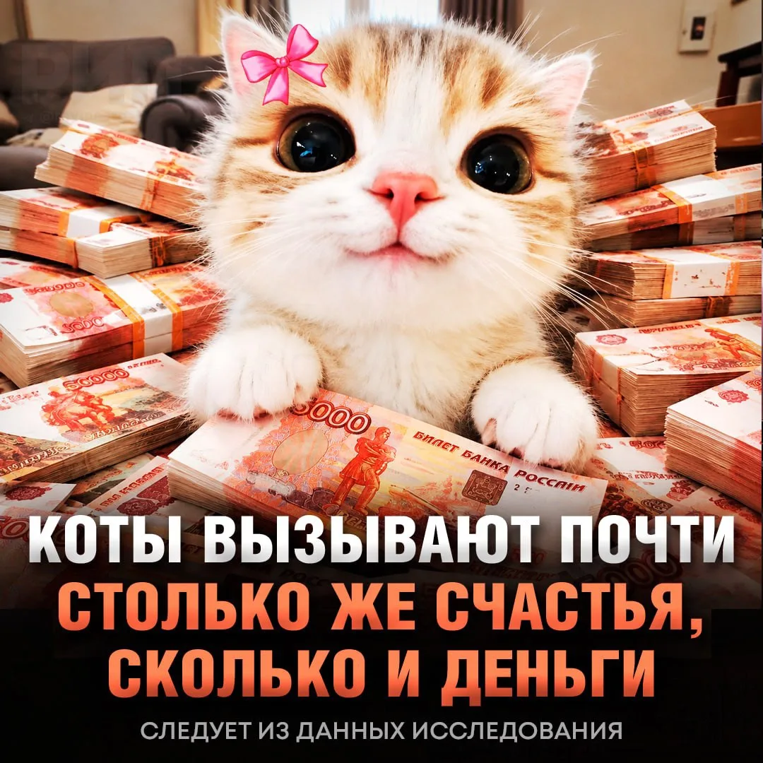 Кошки вызывают почти столько же счастья, сколько и деньги — и чем их больше, тем СЧАСТЛ...