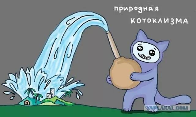 🥲 И врагу не пожелаешь такой котоклизмы