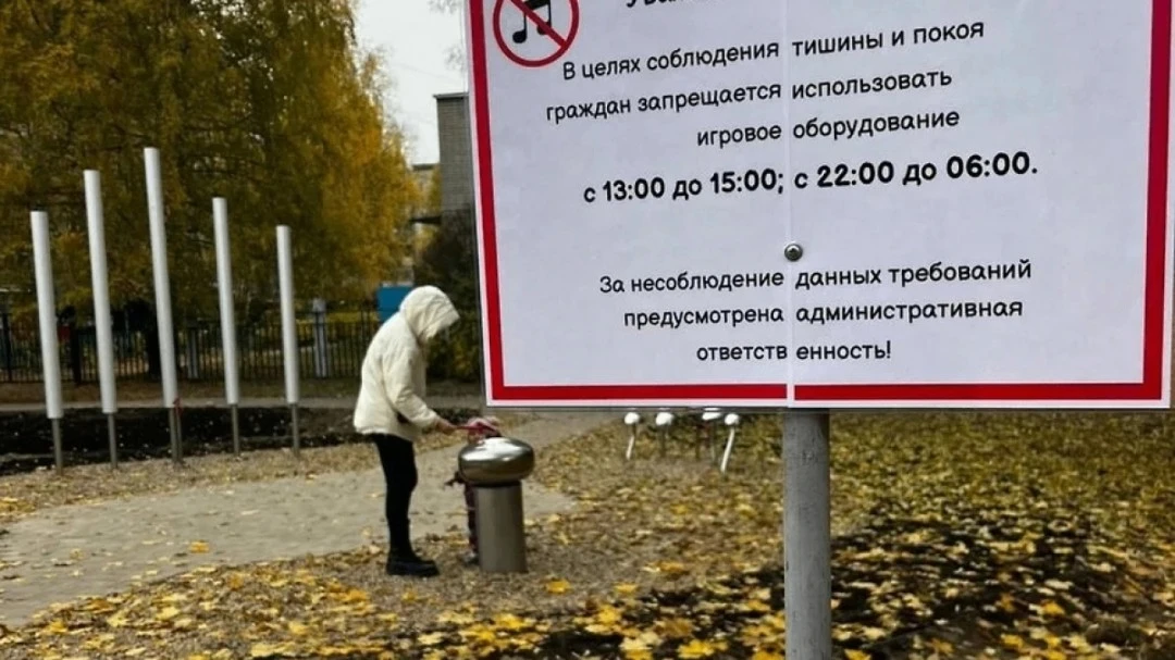 Шумную поющую грибницу и глюкофон уберут из ярославского двора за Волгой