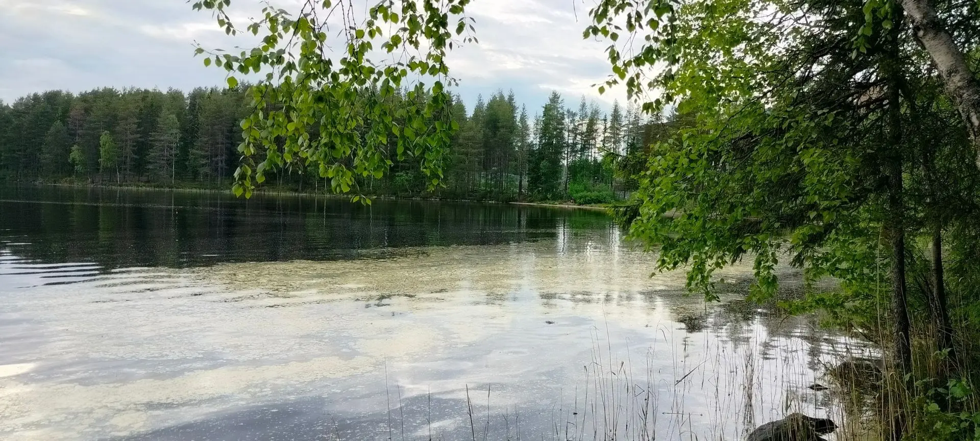 🌊«Загадочные явления» на водоемах Карелии – разбираемся вместе

В последнее время в соцсетях все ча