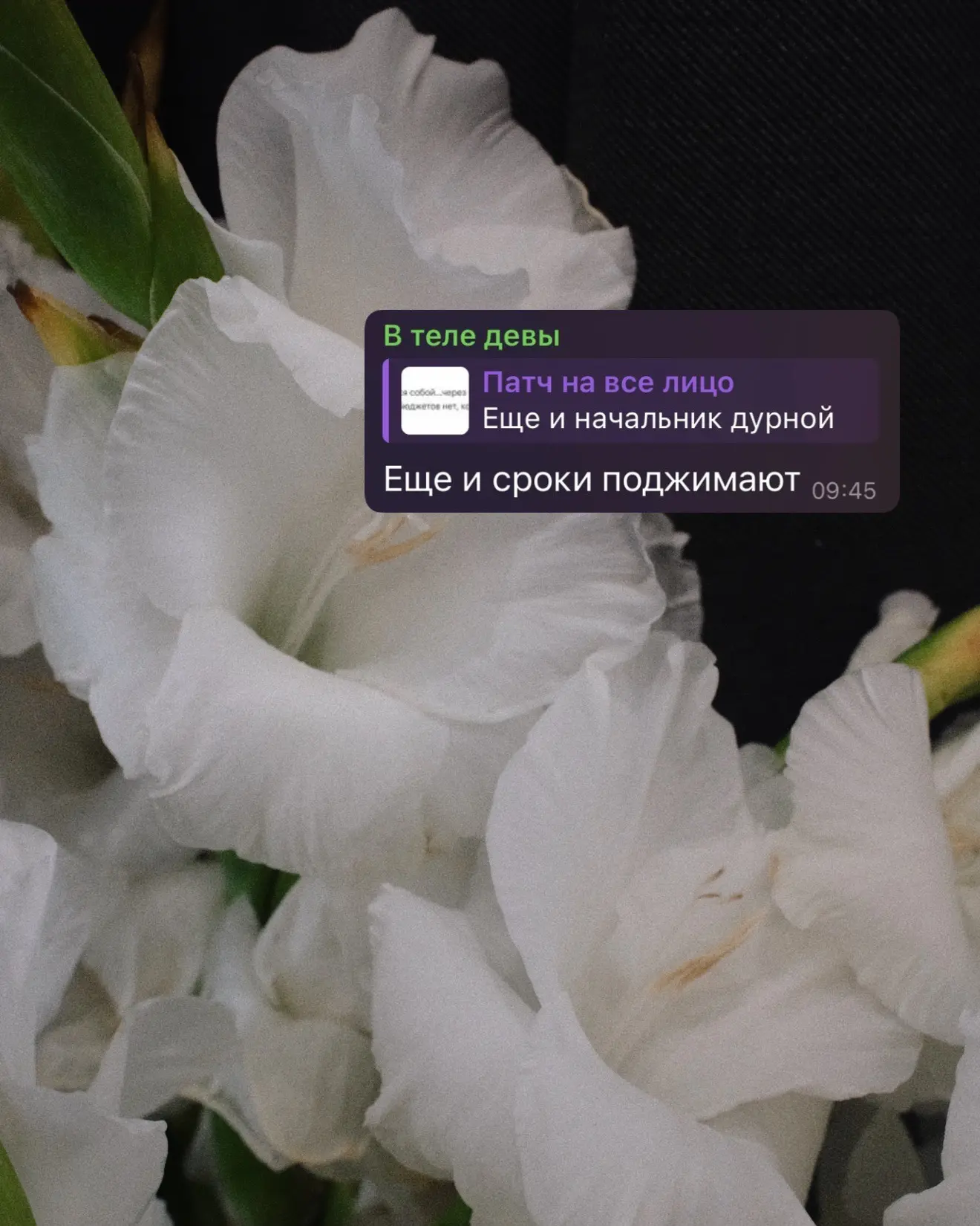 Ну кстати да…я думала к 36 годам успею чуть восстановиться после родов…осталось ровно д...