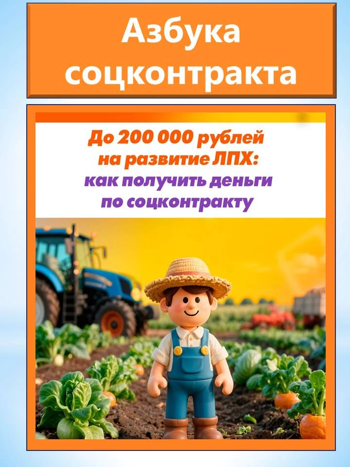 📌 До 200 000 рублей 💰 на развитие личного подсобного хозяйства 🏡: как получить деньг...