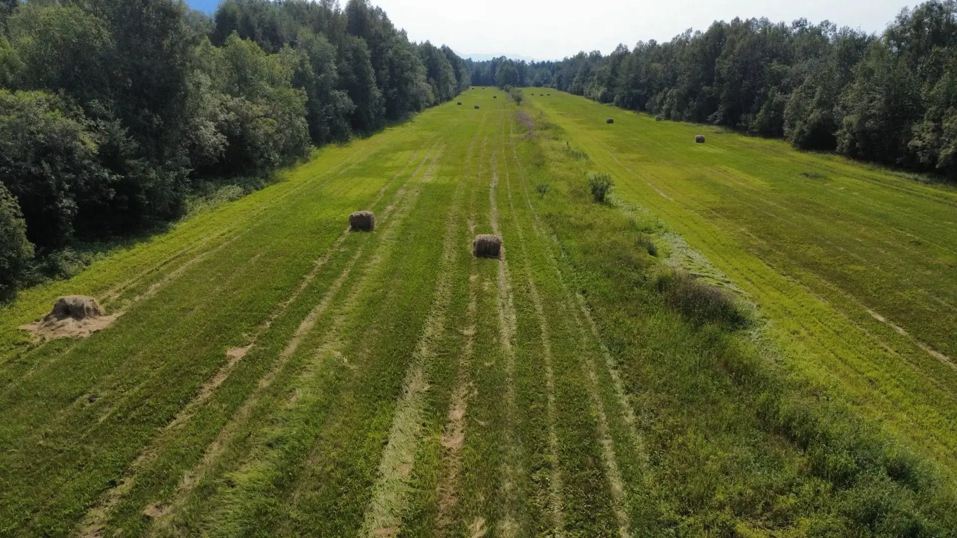 🌱 В Магаданской области по предписанию Россельхознадзора устранено нарушение на сельхо...
