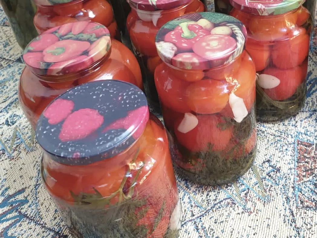 КИШЕР ЯФРАГЫ БЕЛЭН ПОМИДОР маринадлау 🍅🍅🥕🥕🥕
Бик тэмле,унышлы бу рецептны быел да куеп китэм эле