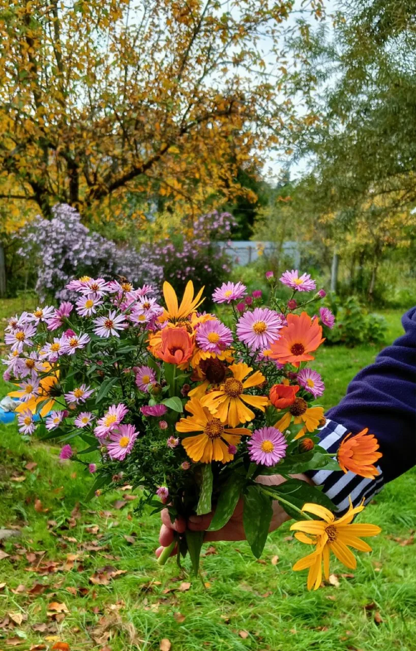 Небольшой осенний подарочек вам — букет от подписчицы ❤