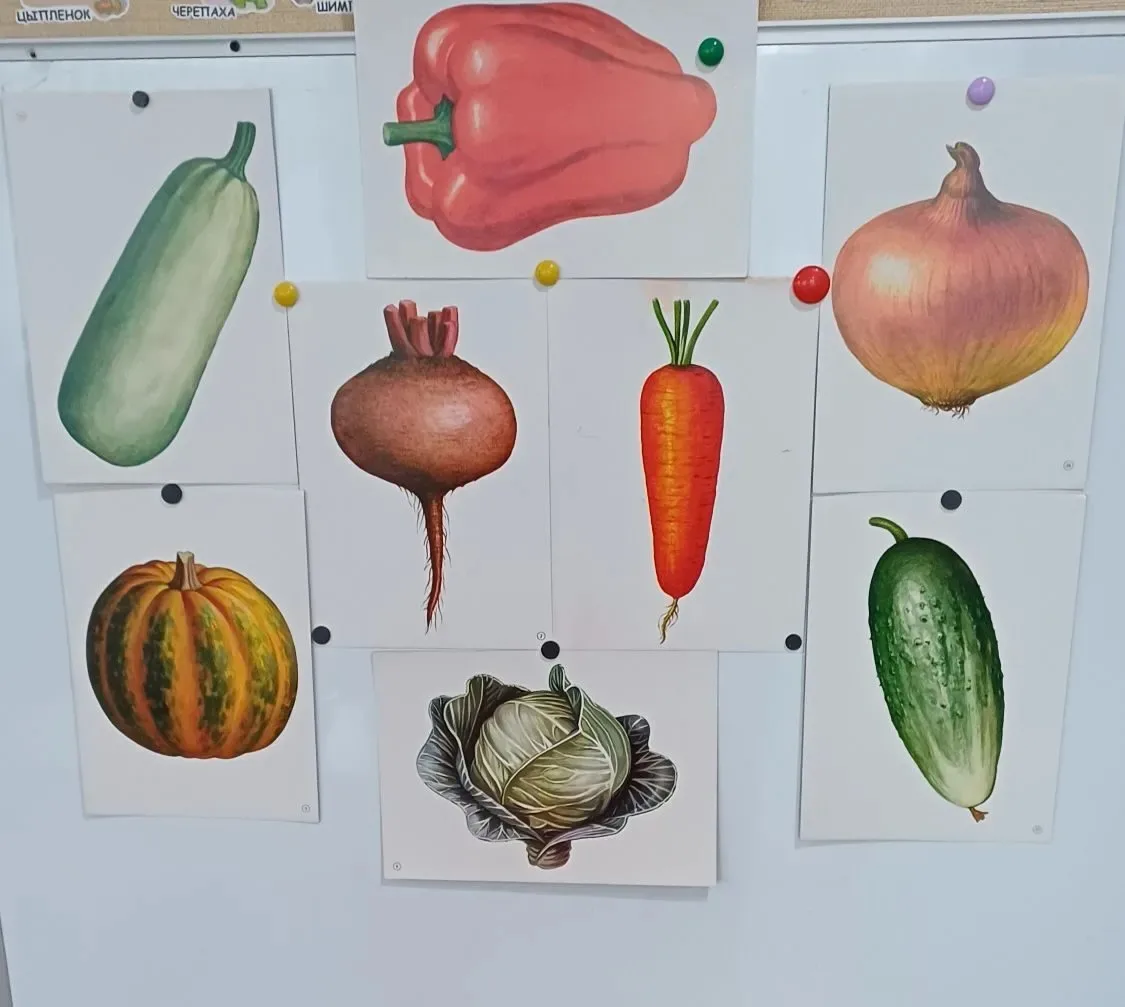 🥕🫜🥕Занятие лепка: «Морковь свекла»