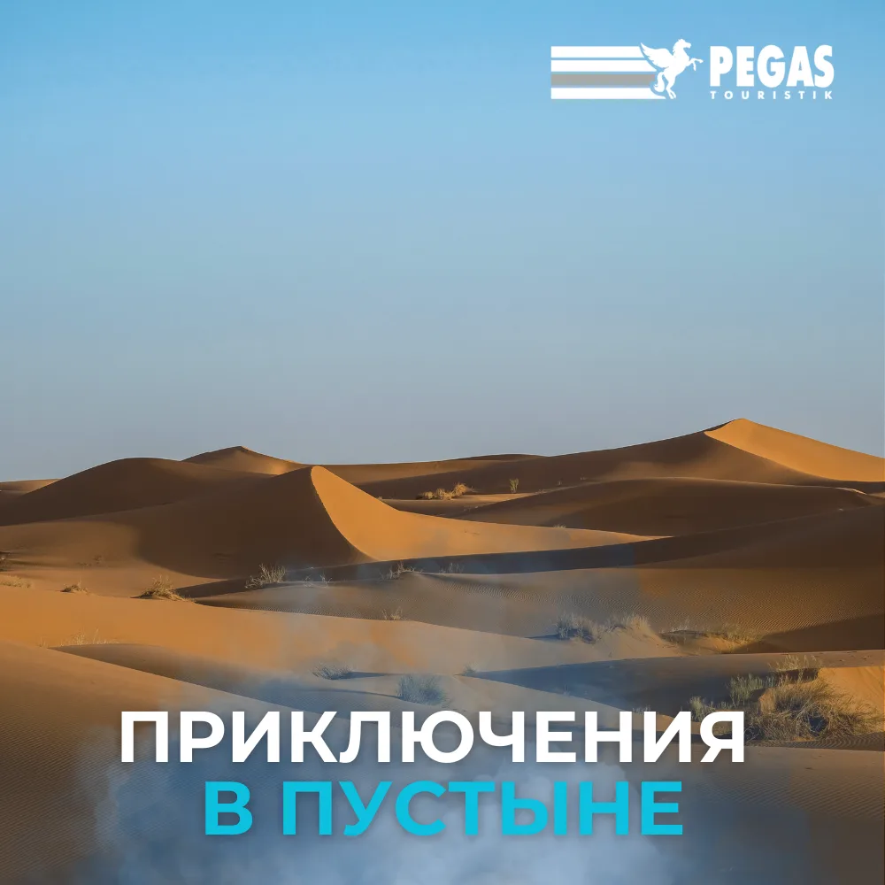 Египет: приключения в пустыне 🐪🌵
Экскурсионный Египет - это не только пирамиды. Пустыня преподноси