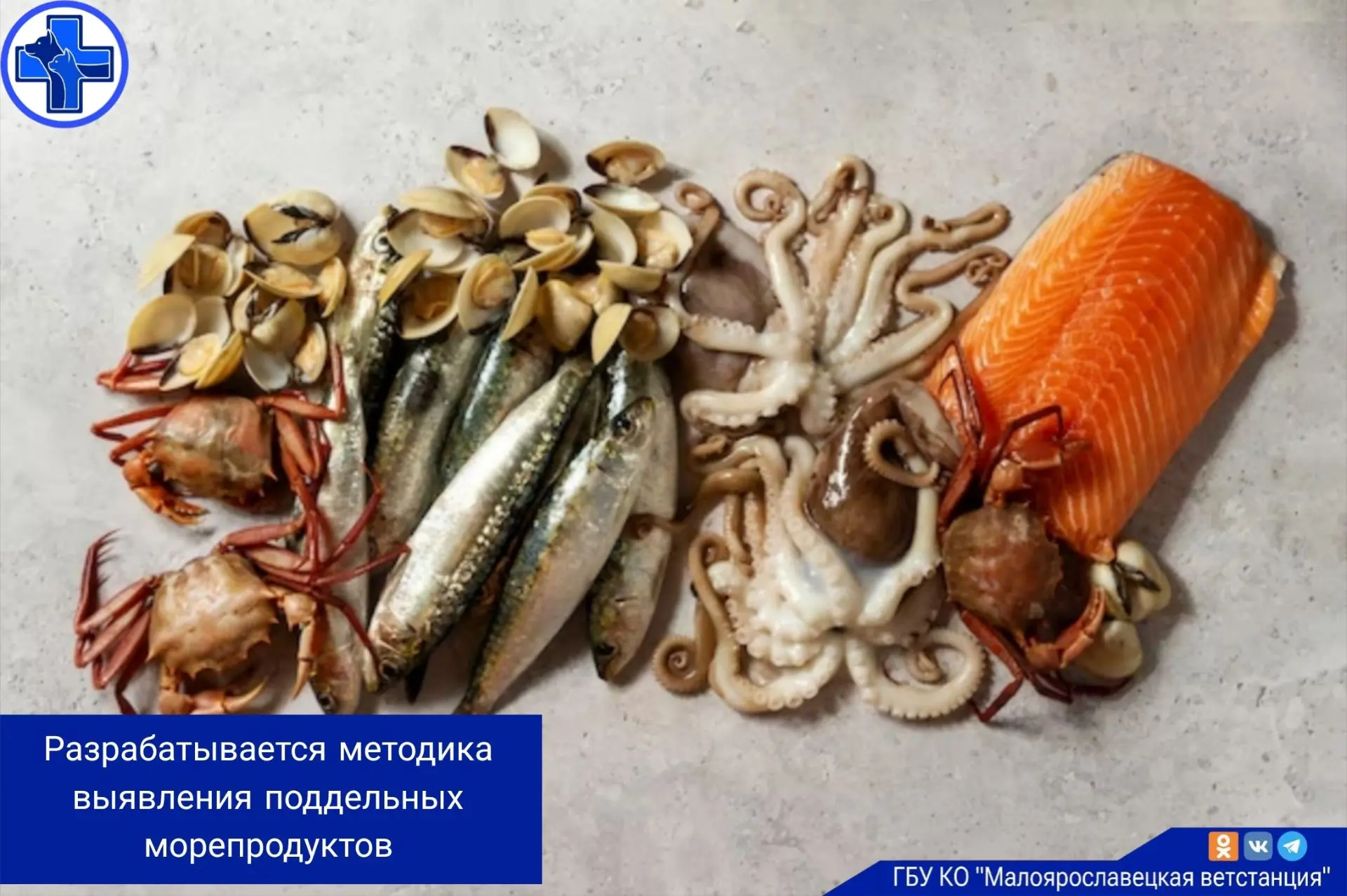 Специалисты референс-лаборатории подведомственного Россельхознадзору ФГБУ «АПК НАЦРЫБА»...