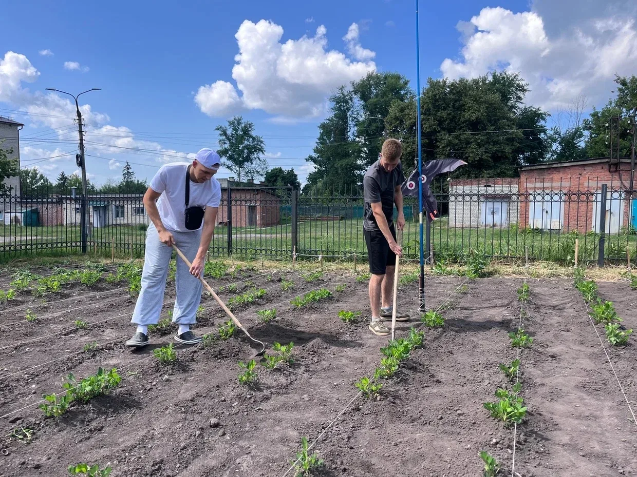 ☀🌱Студенты зелёного отряда «Агро 46» агротехнологического факультета Курского государс...