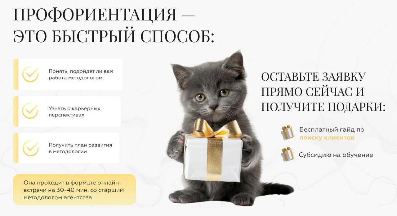 КУДА ИДТИ, ЧТОБЫ НЕ ПРОМАХНУТЬСЯ? 🐾 КАРТА НИШ 2026