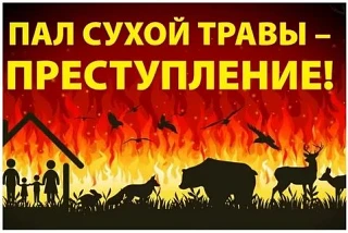ПАЛ ТРАВЫ — ЭТО НЕ ЗАБАВА, А ТРАГЕДИЯ