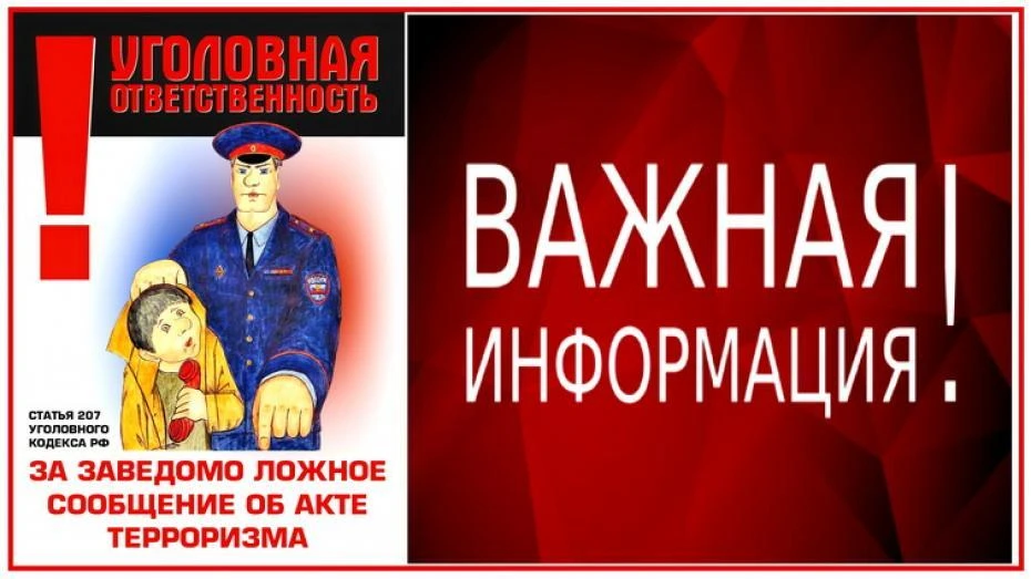 Памятка об ответственности граждан за заведомо ложные сообщения об угрозе совершения те...