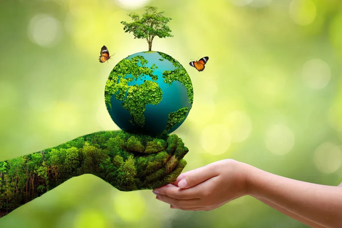 🌳 Сегодня, 5 июня, отмечается День эколога и Всемирный день окружающей среды!