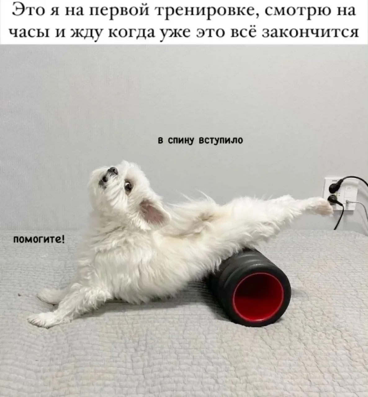 ИССЛЕДОВАНИЯ ПО ТАУРИНУ: СПОРТ, ПЕЧЕНЬ И СЕРДЦЕ