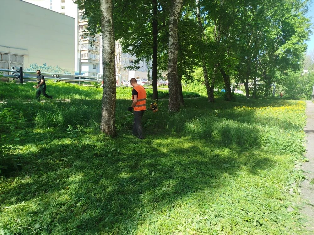 🌿 В летний сезон особое внимание уделяем благоустройству придомовых территорий: регулярно косим трав