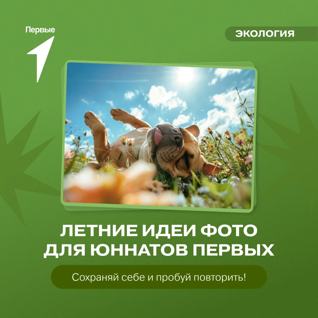 📸 Последний месяц, чтобы поймать летние кадры!
