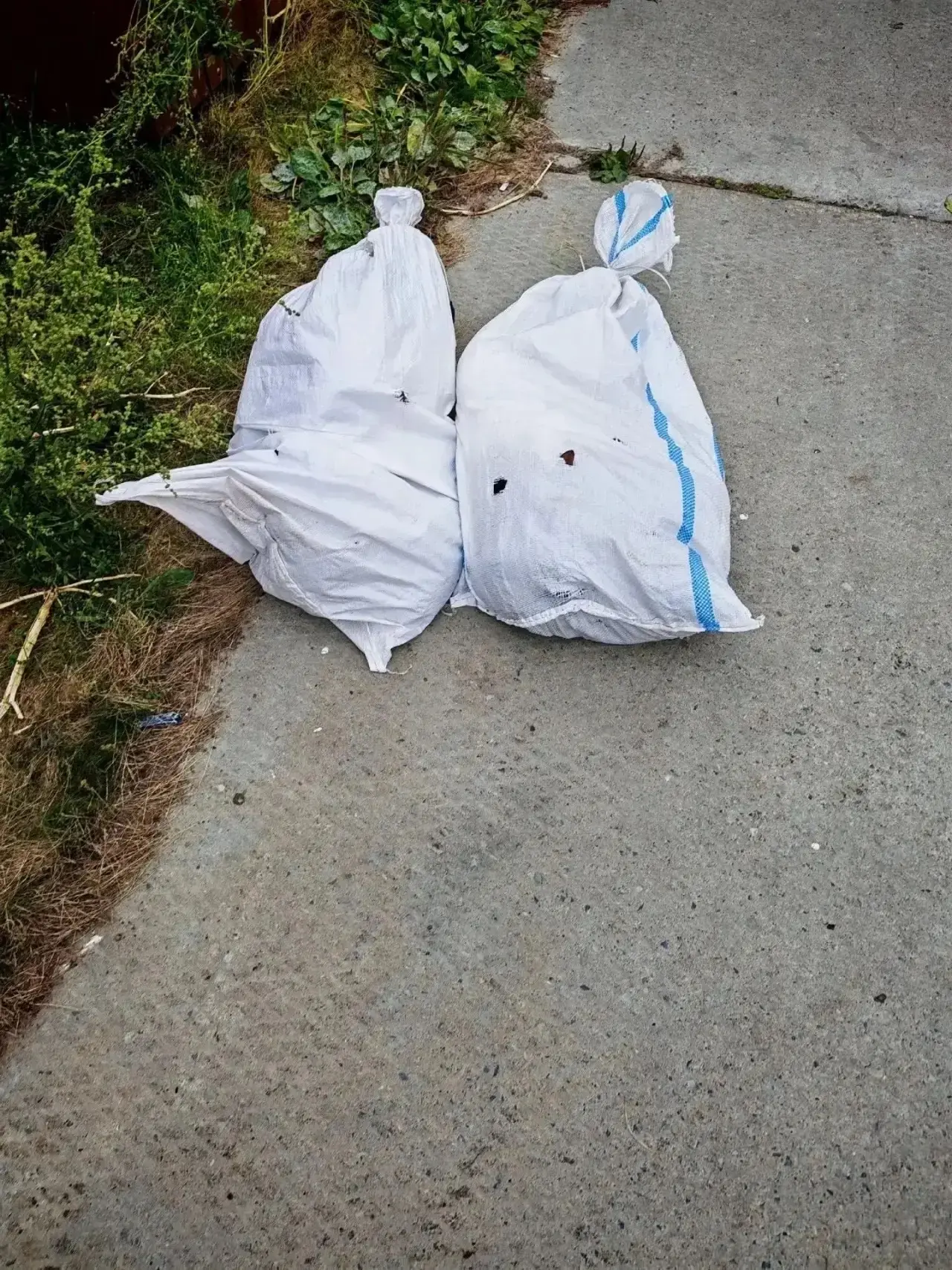 😨 13 котов в мешках: на Ямале волонтёры спасли животных после четырёх часов в жутких у...