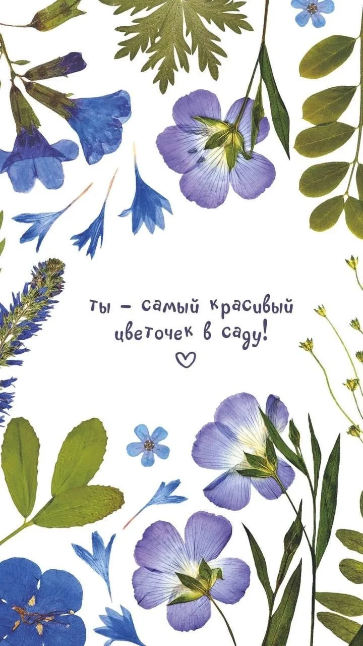 ✨ОТКРЫТКИ И ПОЗДРАВЛЕНИЯ✨