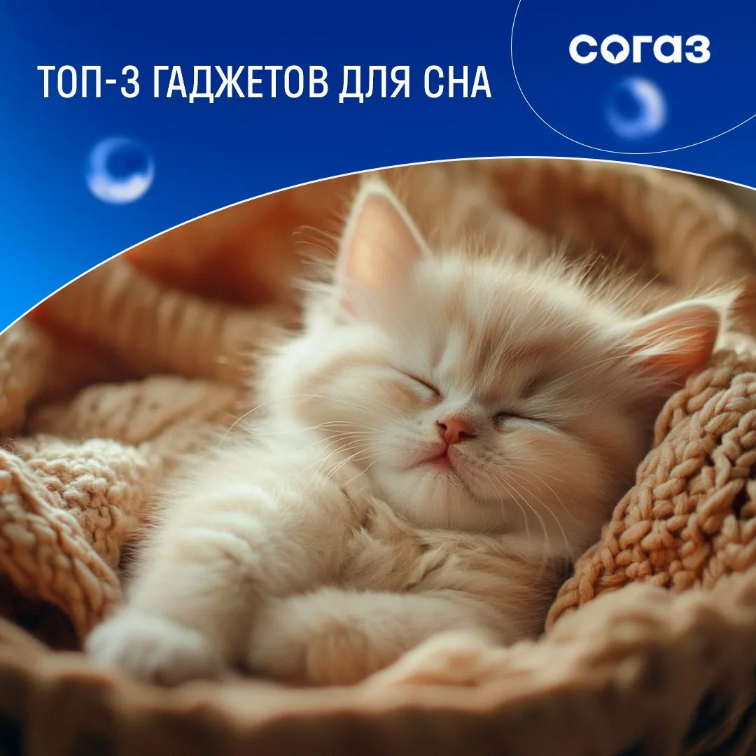 Сон – это настоящая перезагрузка организма, во время которой тело восстанавливает силы, мозг обрабат