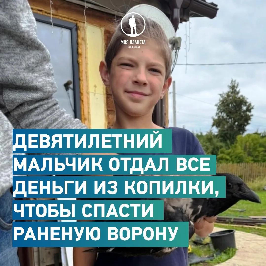 К пятнице подоспели добрые новости от «Моей Планеты»