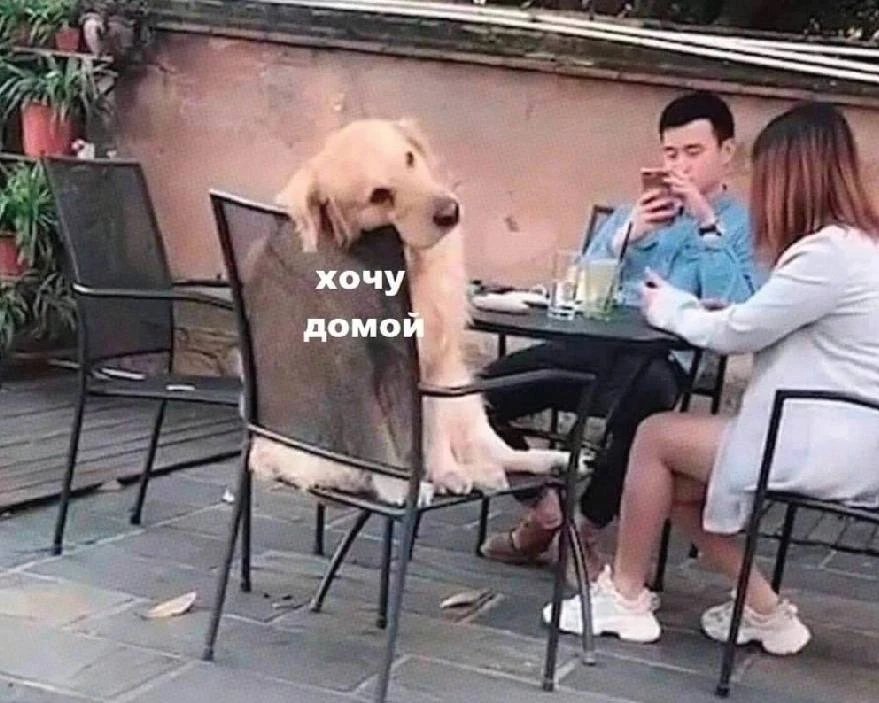 Все мысли об одном, когда услышал слова «ихний и евоный», но уйти не можешь 🫣