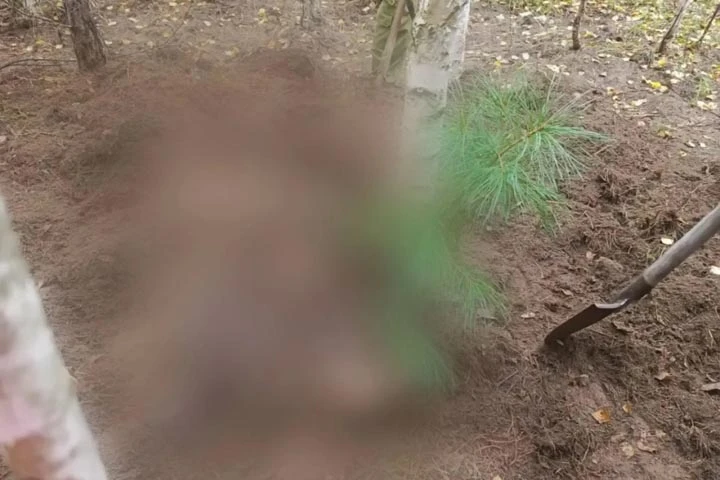 ❗️В Красноярском крае медведь задрал двух женщин