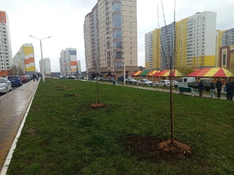 ⚡️В Курске высадили «Аллею Победы» в честь годовщины освобождения региона от ВСУ