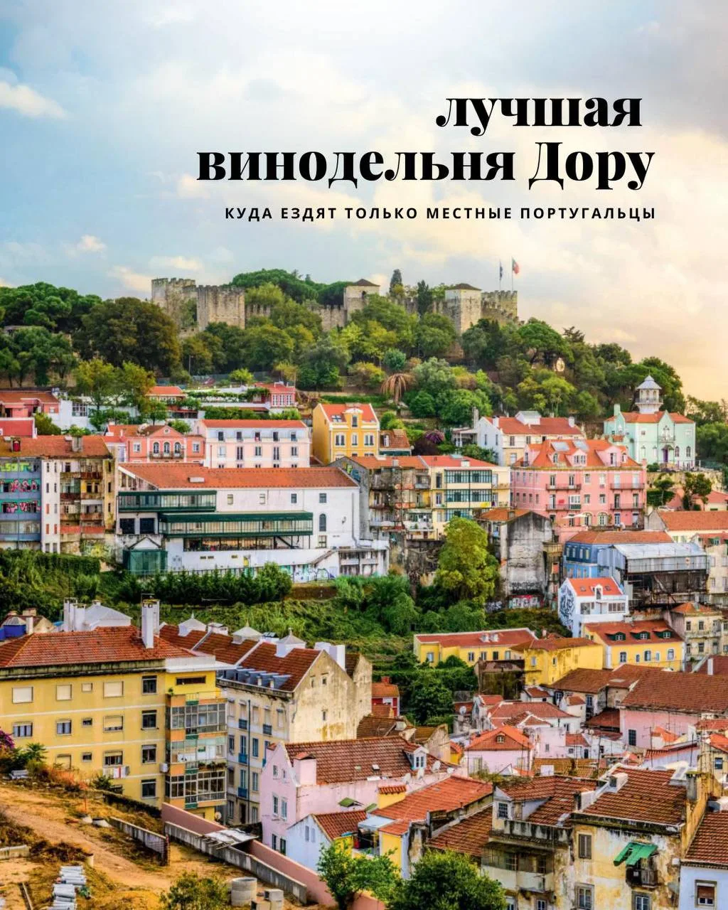 🍇 В долине Дору 600 виноделен, но местные ездят чаще всего в Quinta de Vargellas.