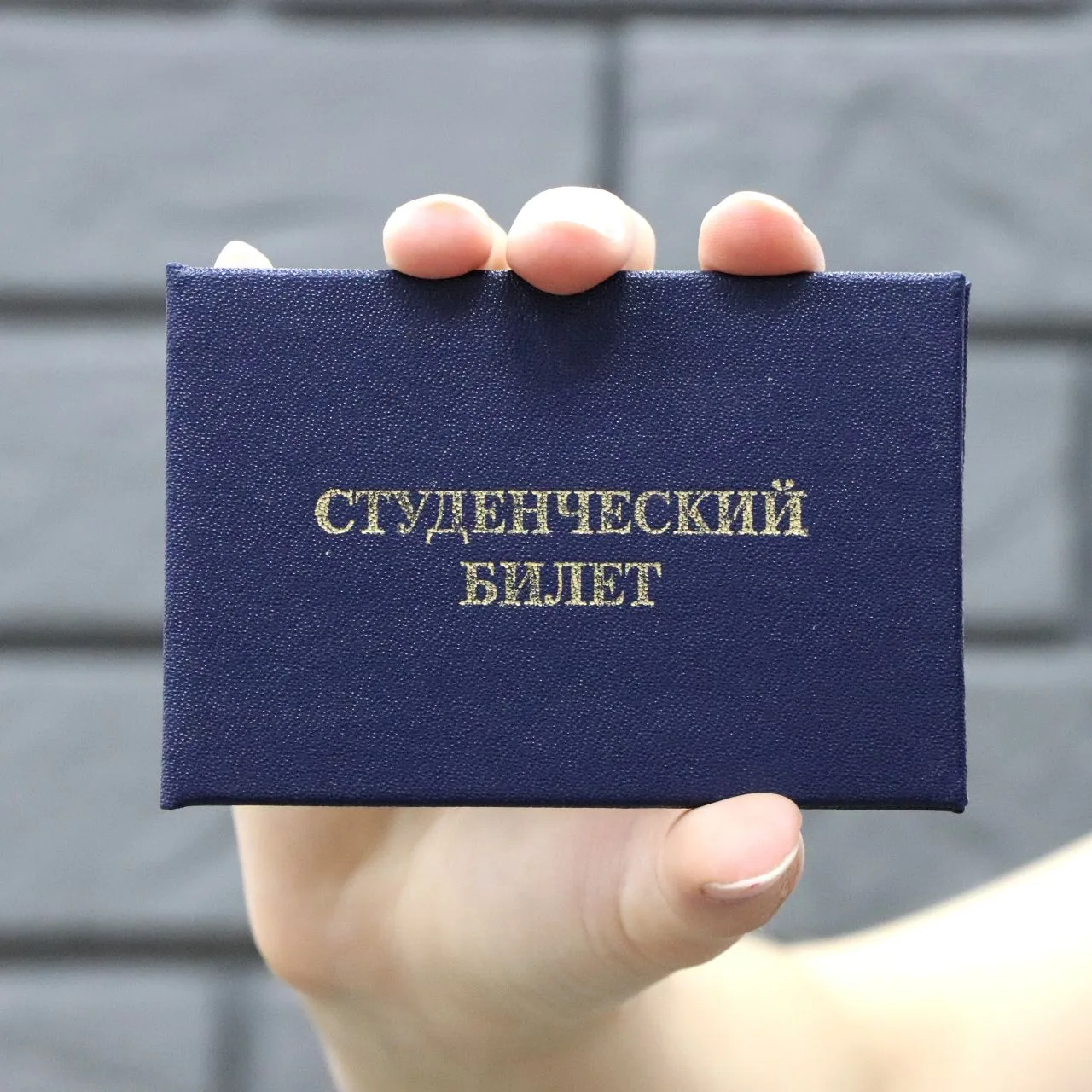 Стартовал приём заявлений на стипендию губернатора Псковской области для студентов-целе...