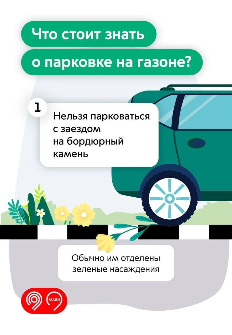 Парковка на газоне: закон, штрафы и экологический ущерб. 🌿

Поговорим о парковке на газоне. Да, мес