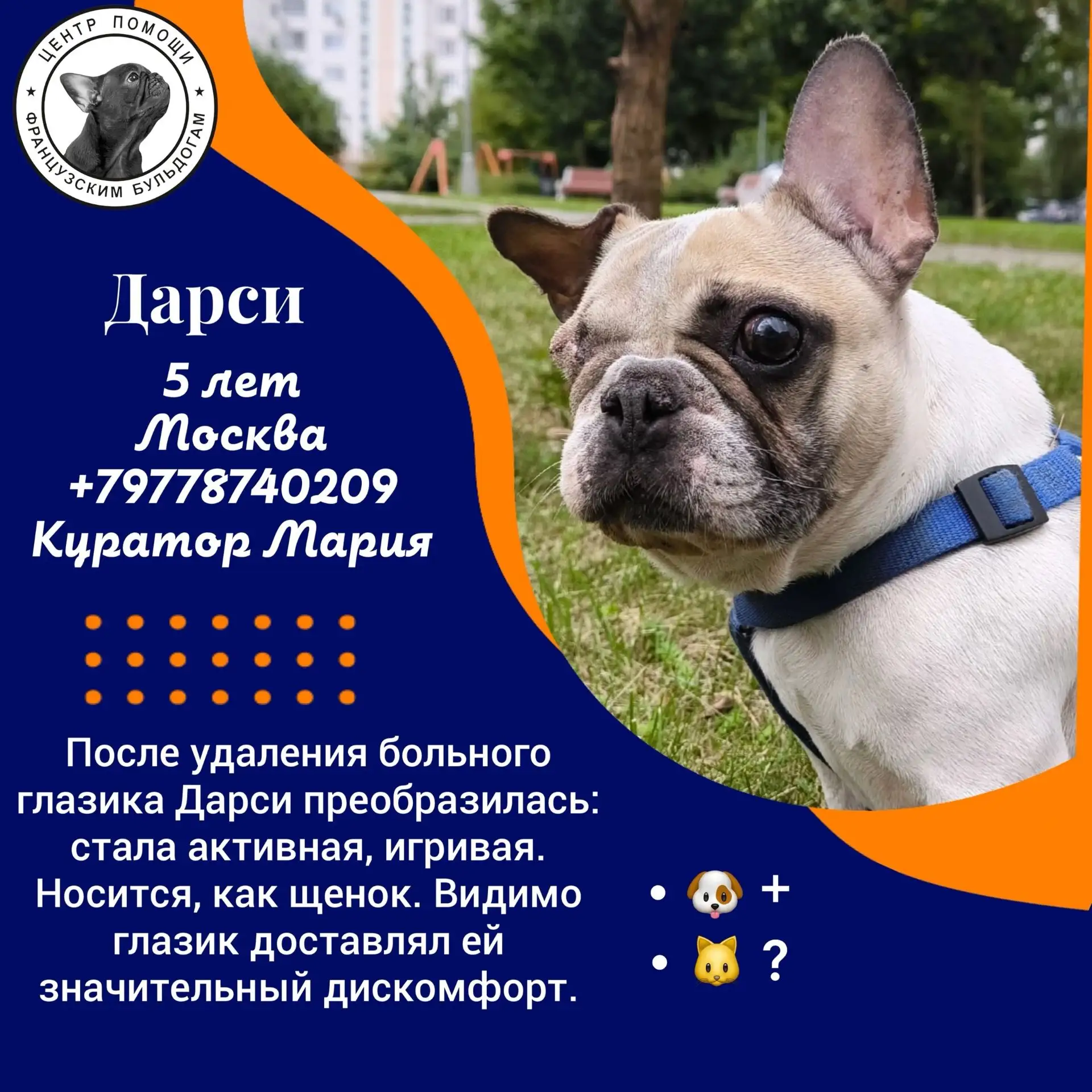 Судьба свела вместе три совершенно разных характера, но всех их объединяет одно — желан...