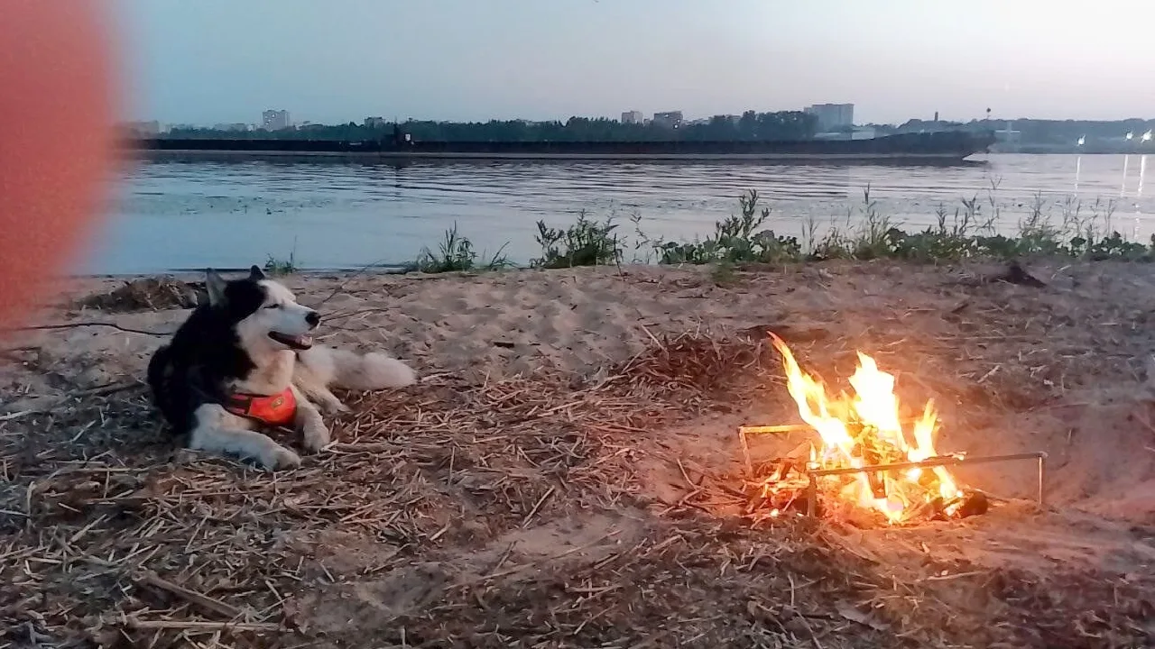 Выходной от админа