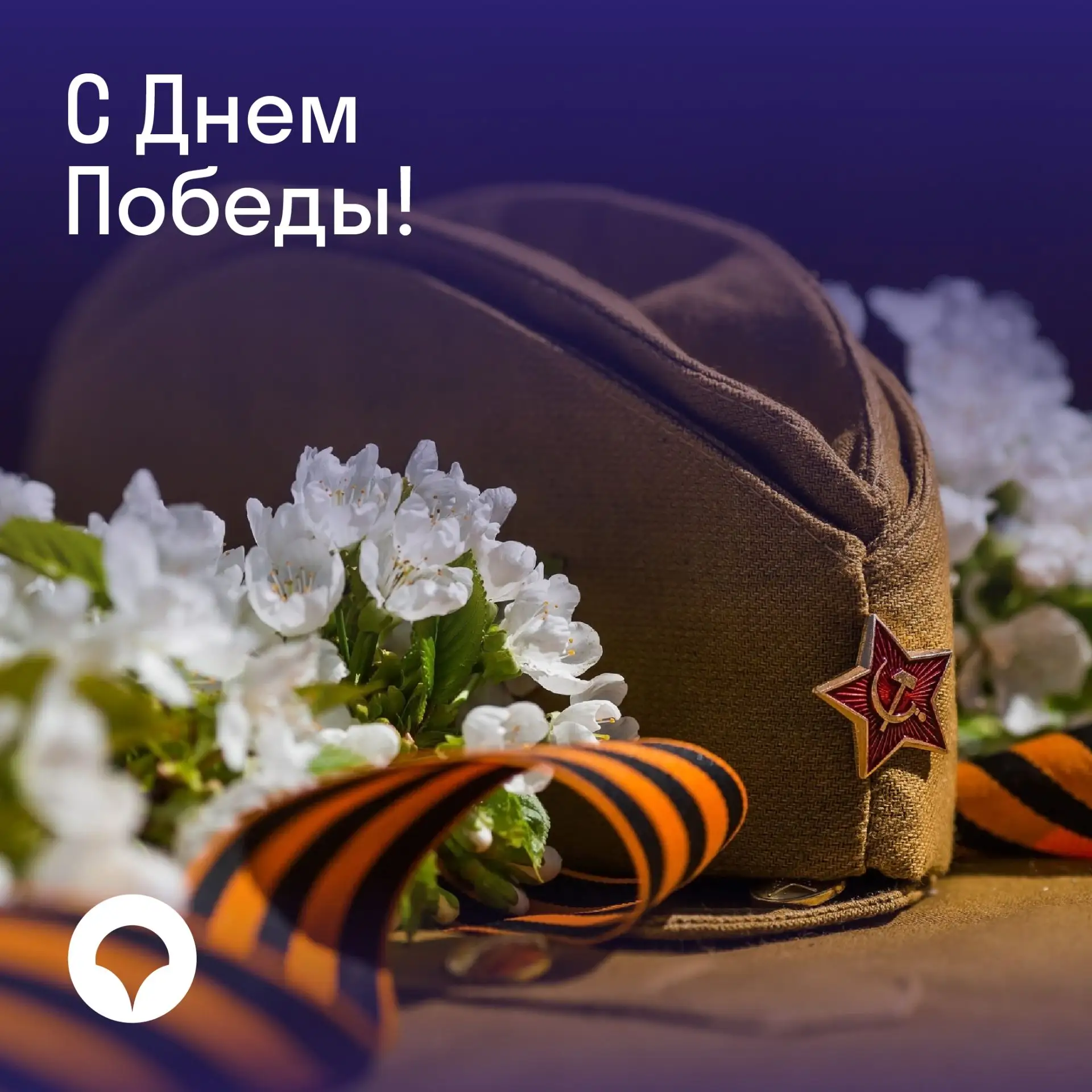 Друзья!