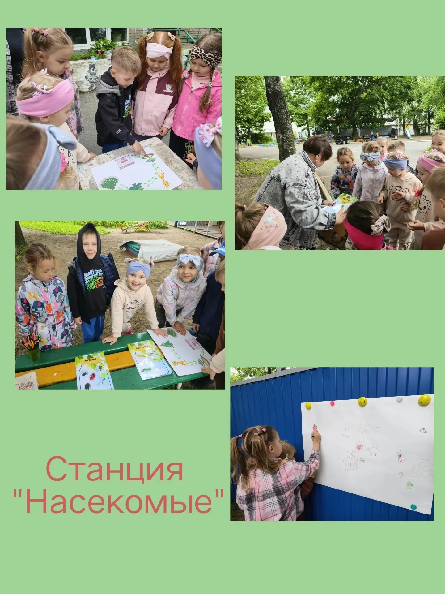 В группах "Пчёлка" и "Тигрята" прошла квест игра "Путешествие в мир природы".