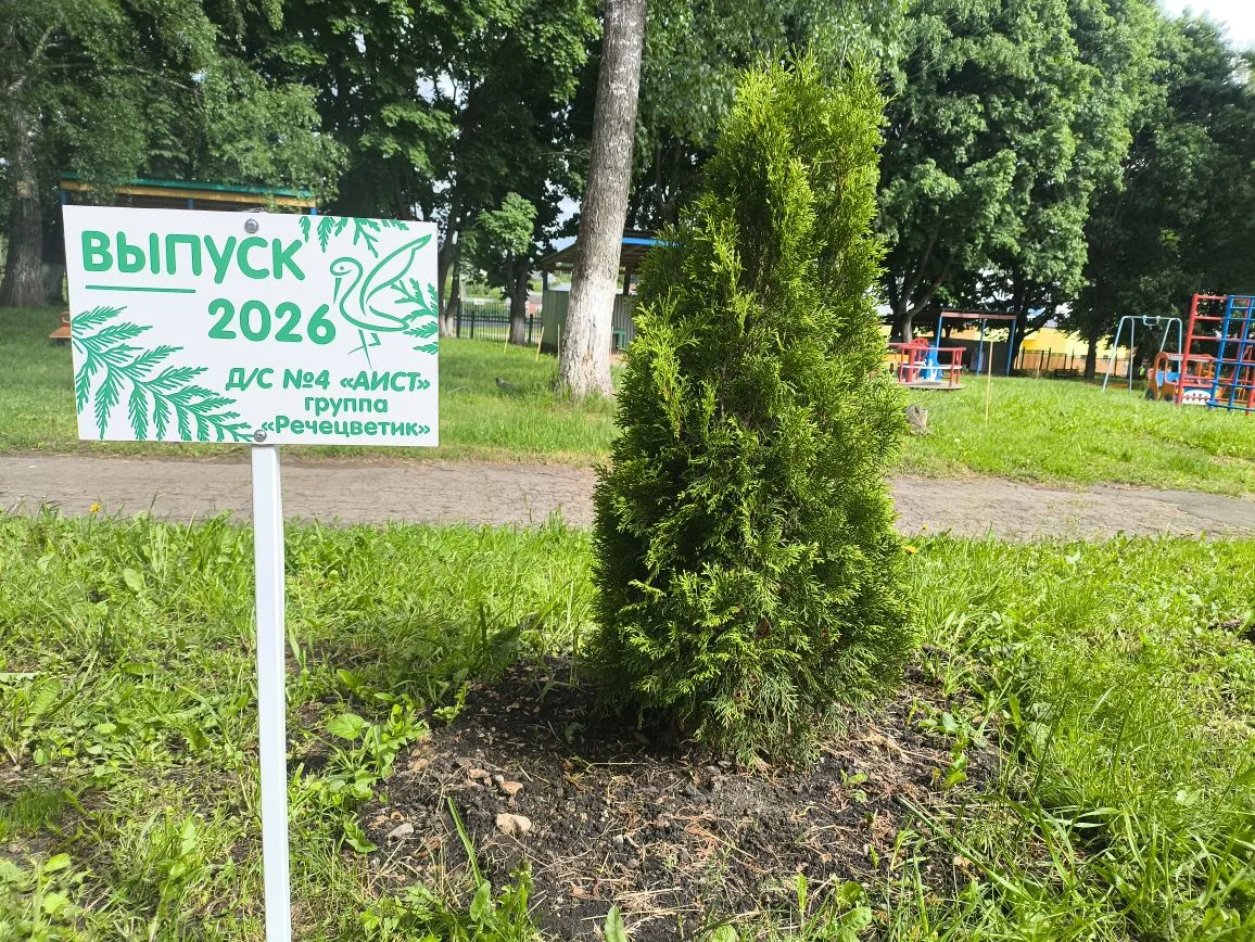 Сегодня в нашем детском саду