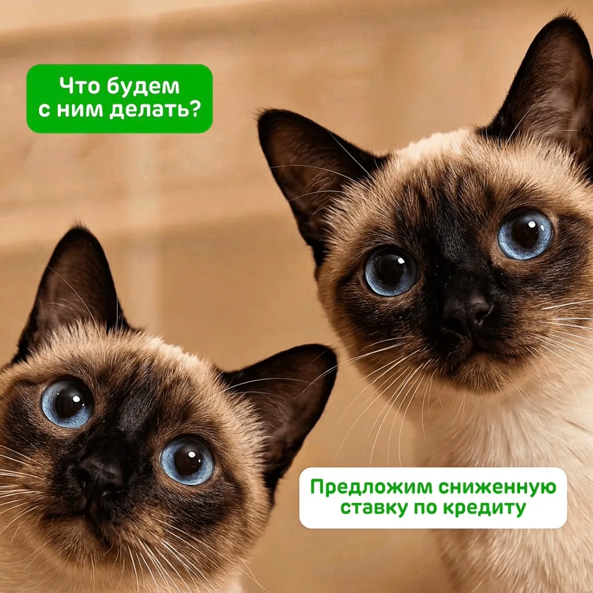 Мы ценим ваше время, поэтому не ждём изменений — мы их обгоняем.

Снизили ставку по кредиту наличным