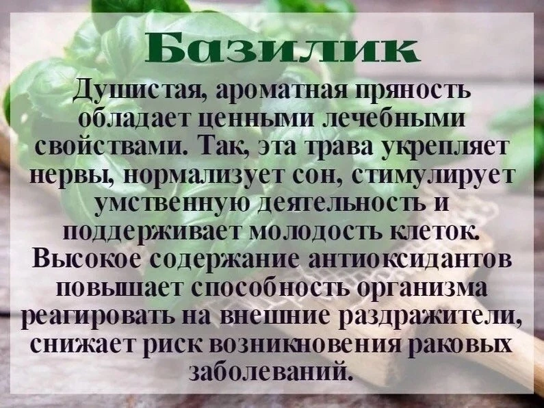 🌶️🫚Польза специй

https://max.ru/mama_62