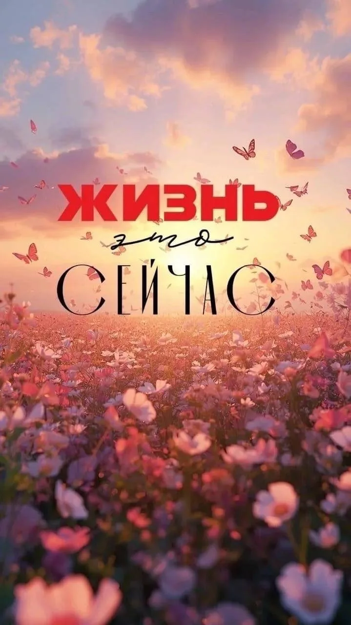 Мотивирующие обои на телефон 🔥

Для вашего преуспевания! 

🤎🤎🤎