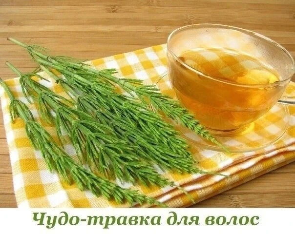 Чудо-травка для волос🌿