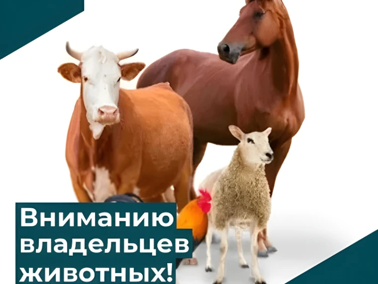Памятка по маркированию и учету животных❗