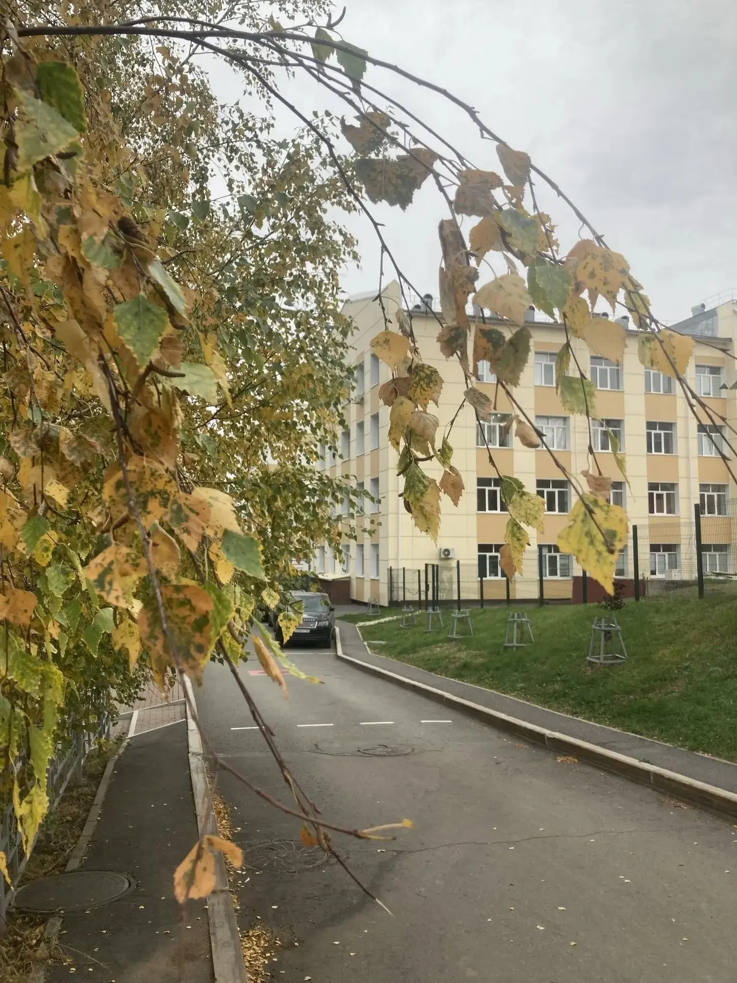 Последние дни августа пахнут надеждой...