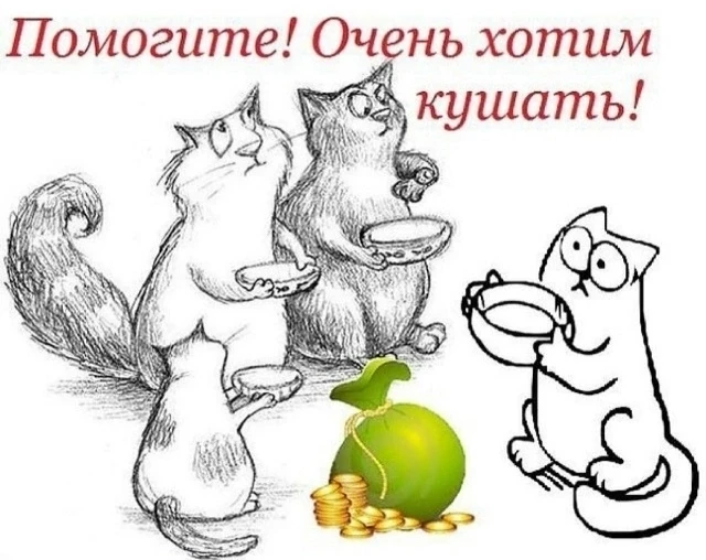 Наши дорогие друзья, нам тяжело писать этот пост, но мы вынуждены быть предельно откров...