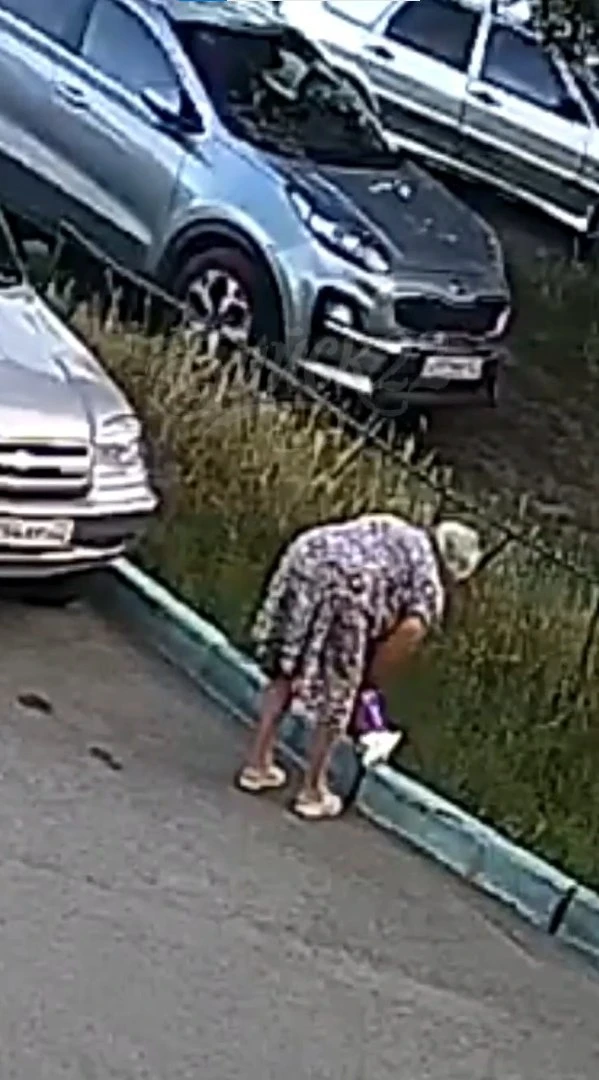 Жительница Бийска выбросила котёнка в траву и ушла 😡

В Бийске камеры видеонаблюдения запечатлели, 