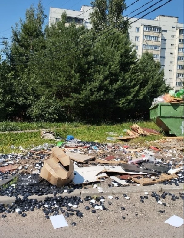 У дома 100 на Московской — настоящая помойка.
============================ 
Чехов в Мах - [контакт с