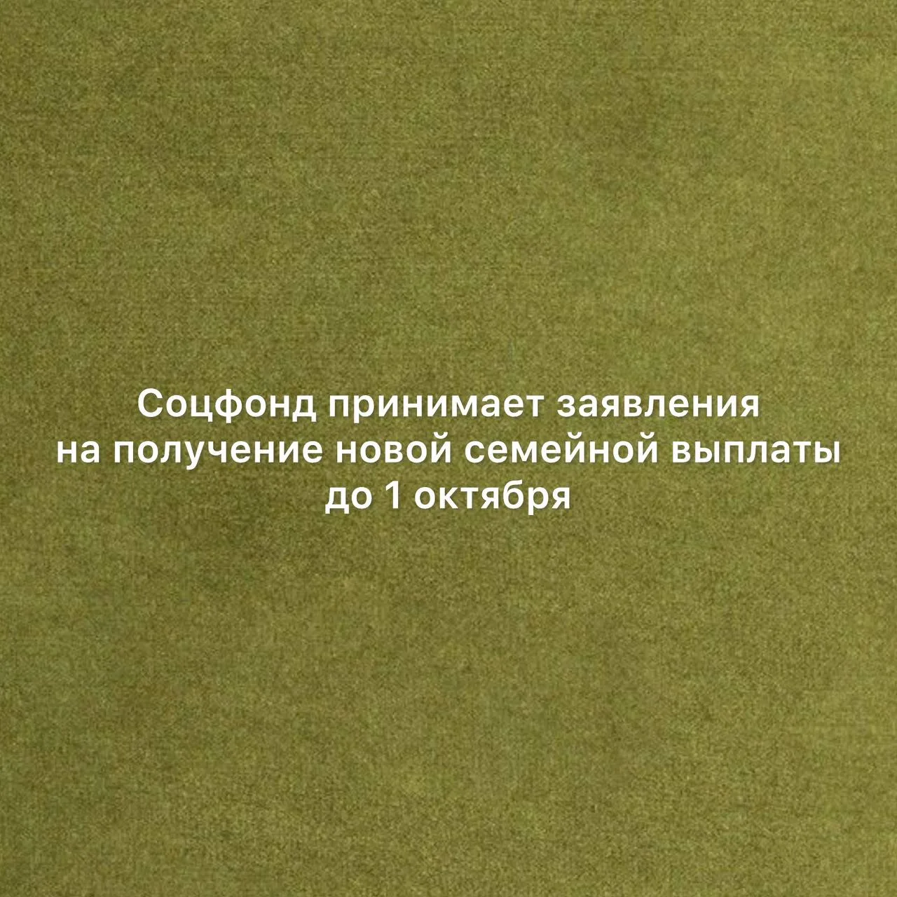 🔹Соцфонд принимает заявления на получение новой семейной выплаты до 1 октября