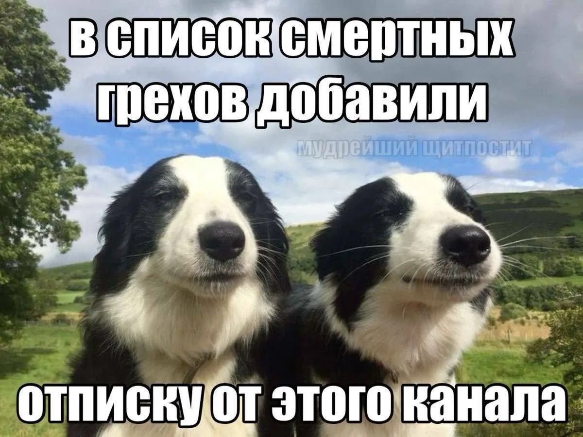 Изображение 1 к публикации «Ирена Понарошку»