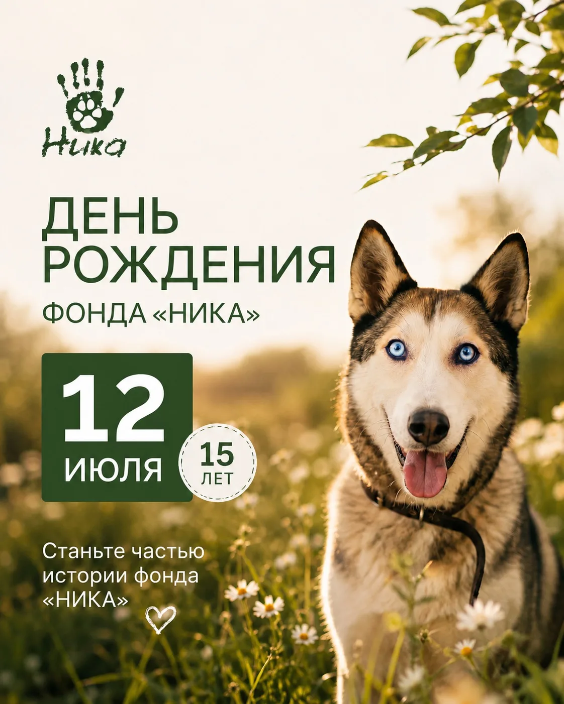 🎉 12 июля фонд «Ника» отмечает свой особенный юбилей — нам исполняется 15 лет!

За эти годы мы спас