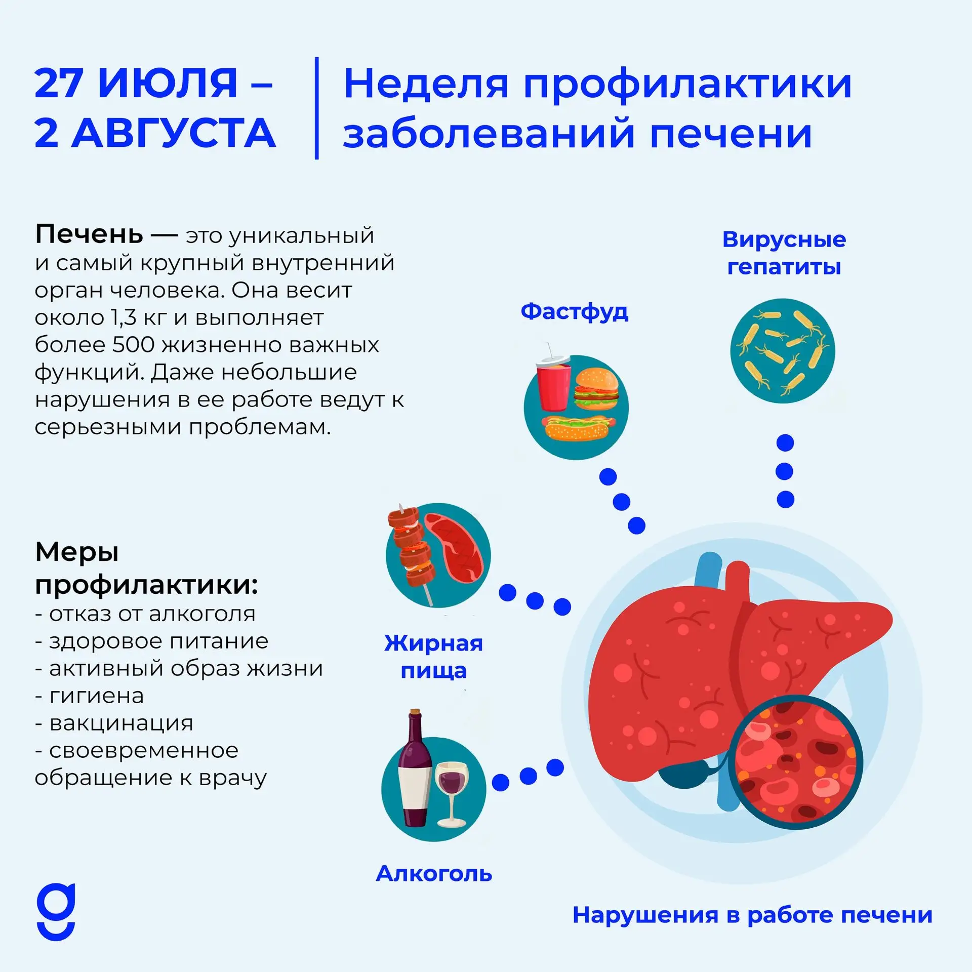 Печень - молчаливый труженик: почему она не болит, но страдает, и как ей помочь 

С 27 июля по 2 авг