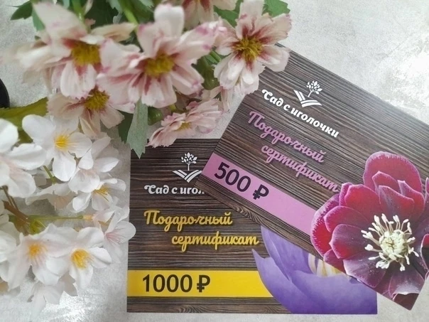 ☝🏻😁Не надо думать, что подарить! Подарочный сертификат - лучшее решение!
