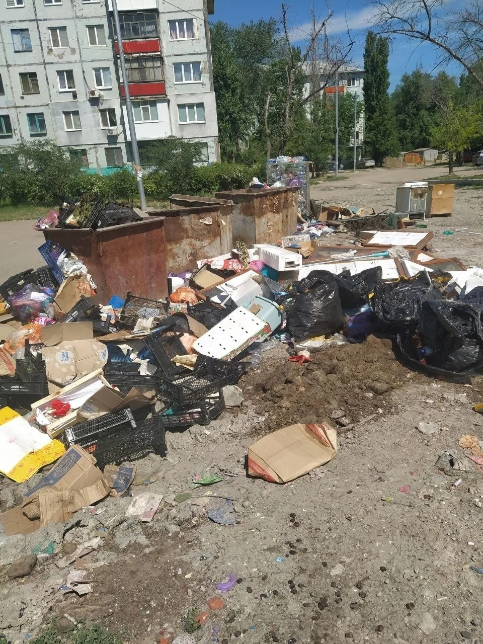 Кв. Ватутина, Дружба, 50 лет октября постоянно засранные, дворники не наблюдаются, пакеты разлетаютс